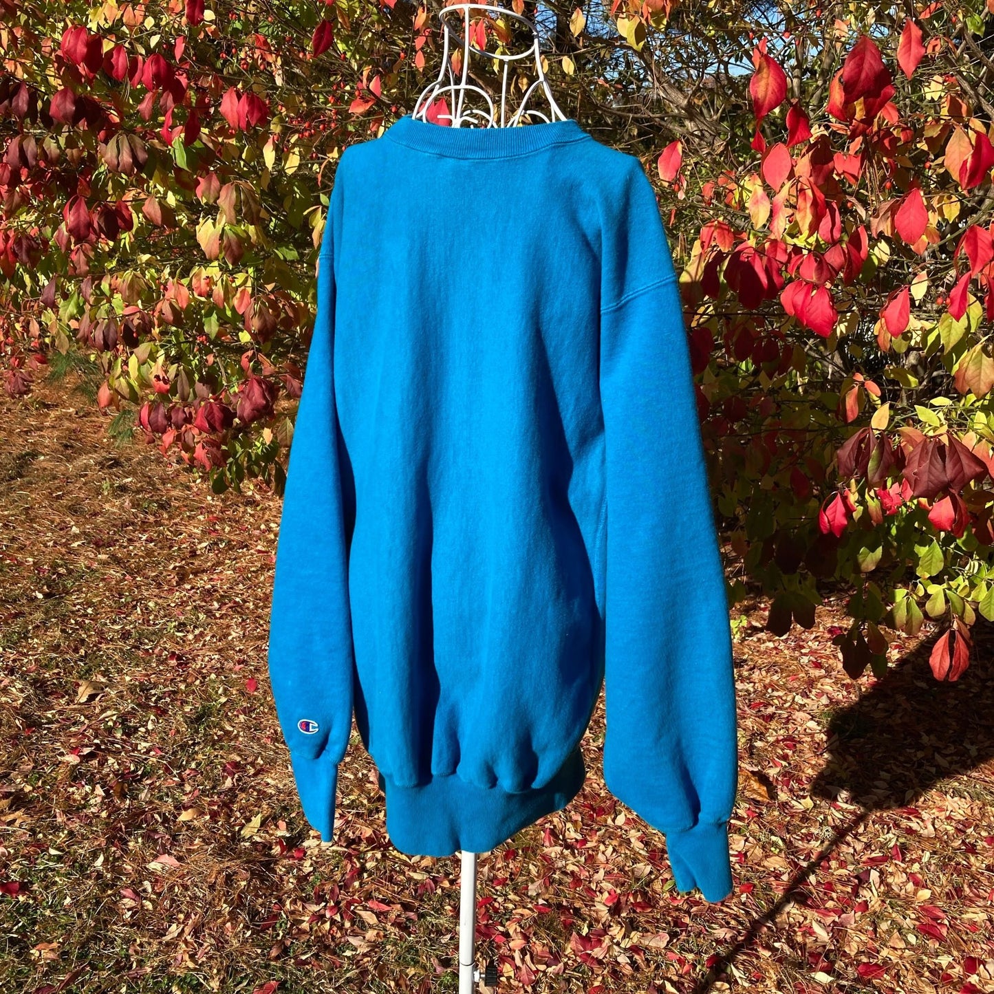 vintage sweatshirt champion 90s 1990s spellout script M-L teal embroidered reverse weave made in USA