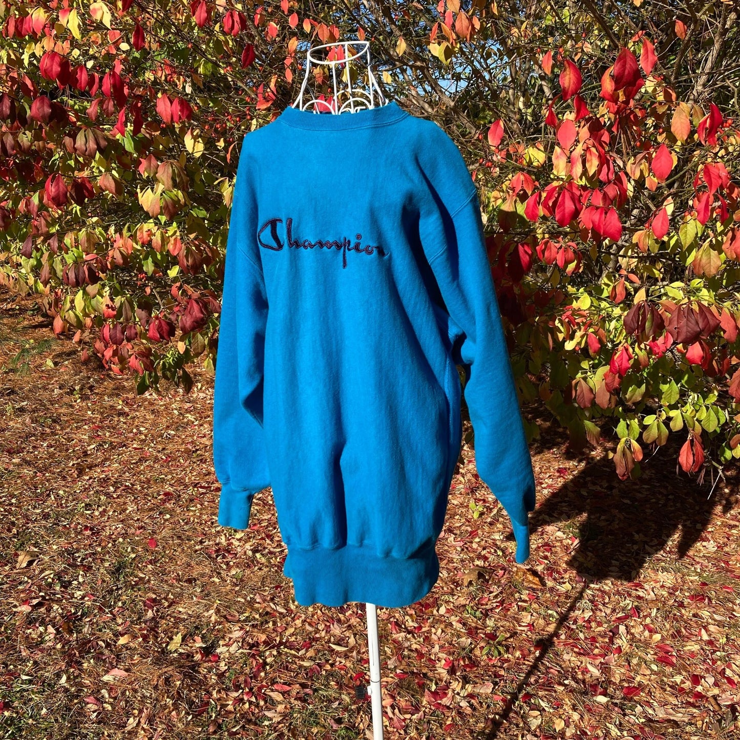 vintage sweatshirt champion 90s 1990s spellout script M-L teal embroidered reverse weave made in USA