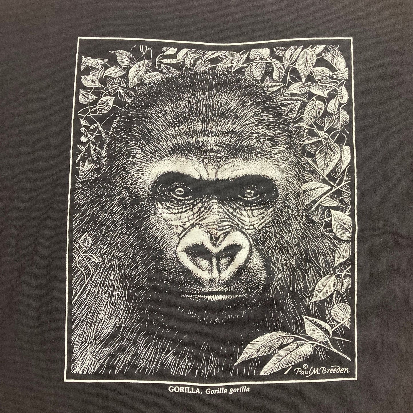 vintage graphic t shirt nature |S - M| 90s single stitch 1990s gorilla black white Paul M. Breeden Hanes Beefy T