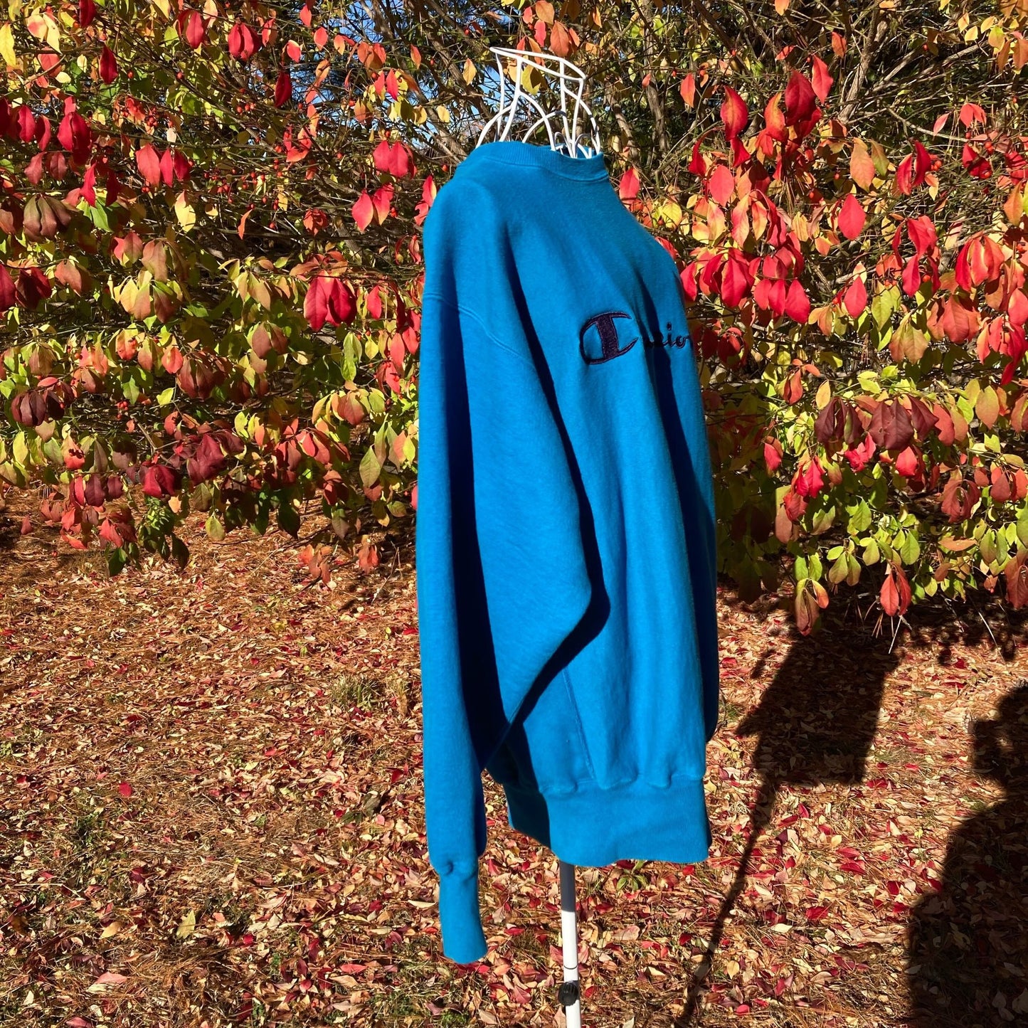 vintage sweatshirt champion 90s 1990s spellout script M-L teal embroidered reverse weave made in USA