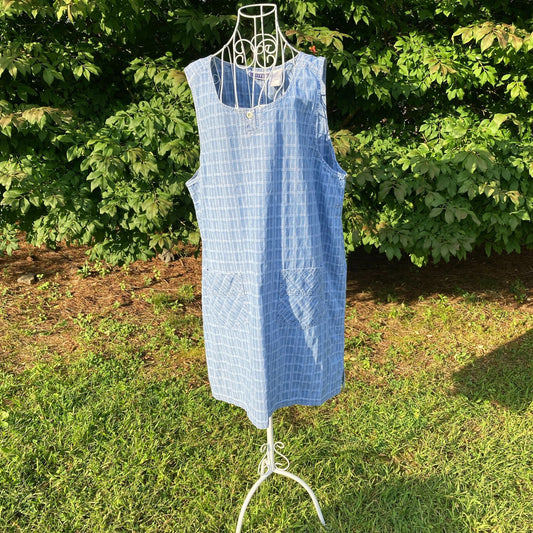 vintage 90s cottage core jumper dress cotton 1990s  prairie western farmcore plaid |XL - 1X|  Erika II & Co. blue white